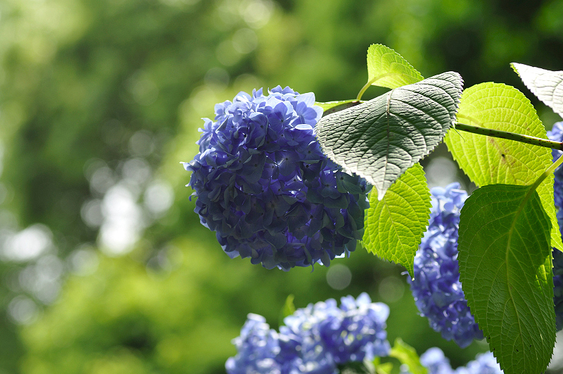 image0295