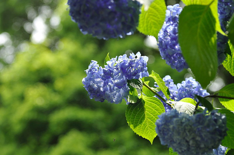 image0296