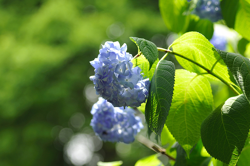 image0297