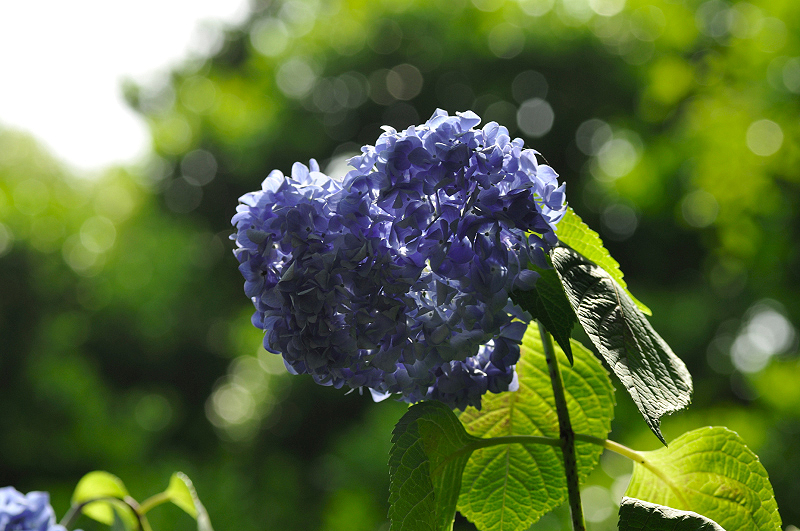 image0298