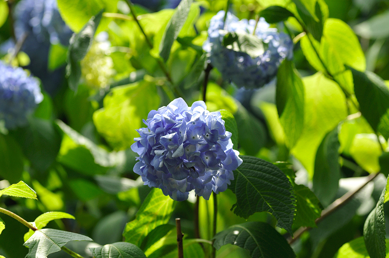 image0299