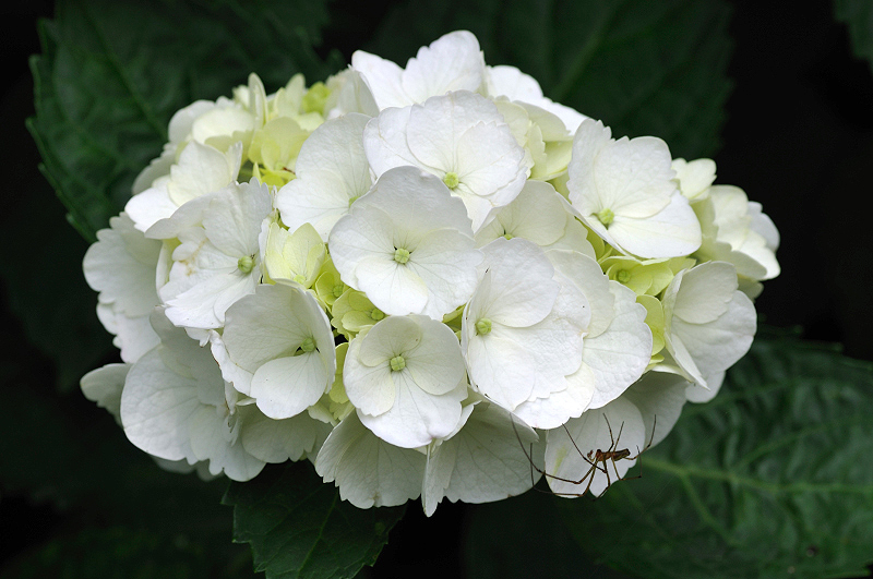 image0302
