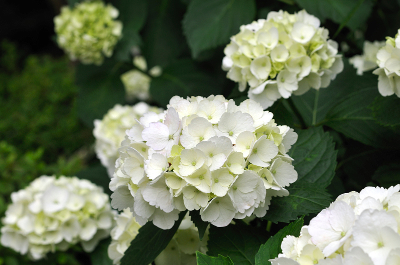 image0304