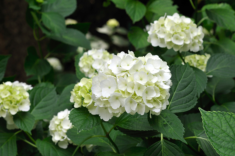 image0305