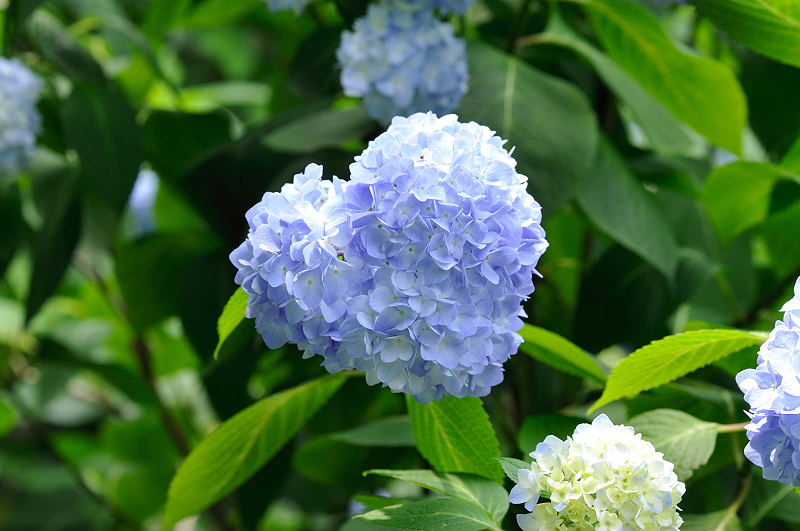 image0307