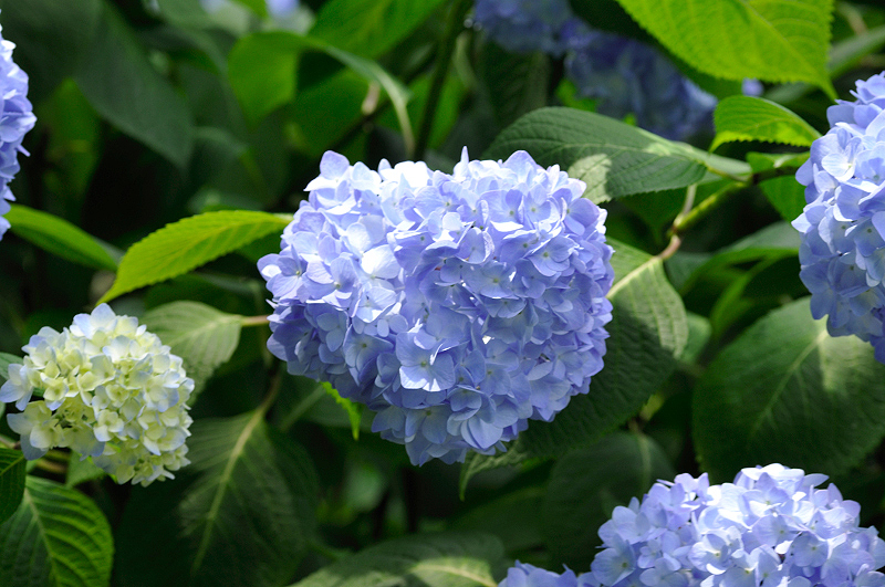 image0308
