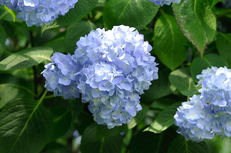 image0309