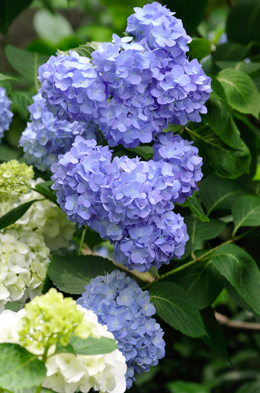 image0312