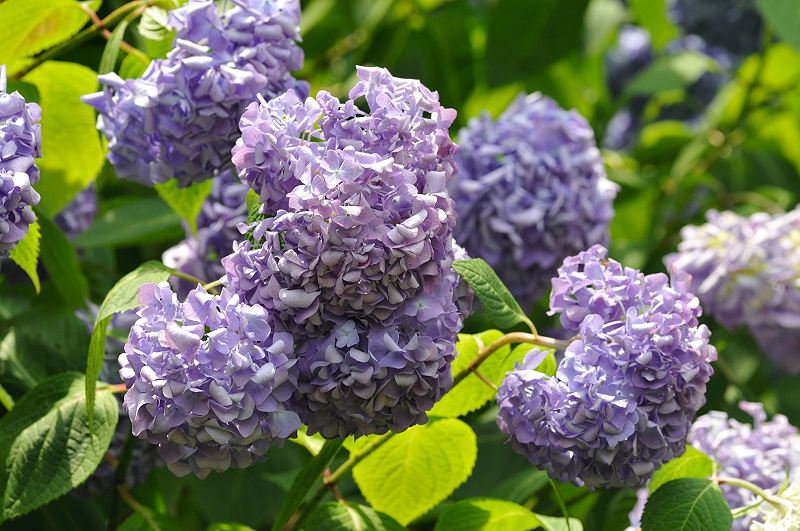 image0315