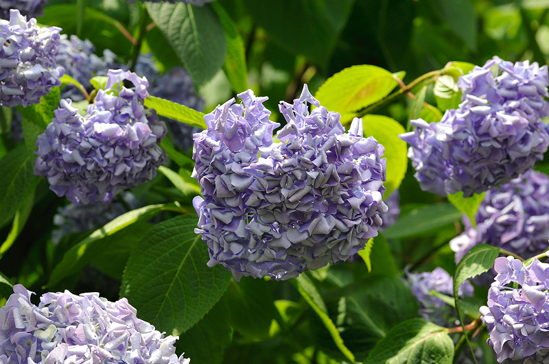 image0316