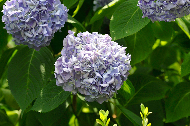image0317