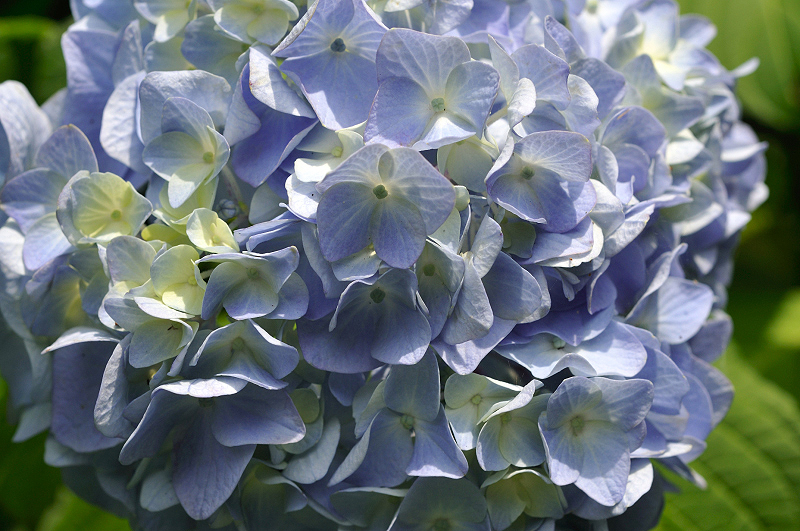 image0319