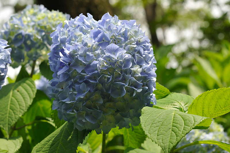 image0321