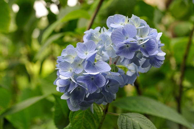 image0322