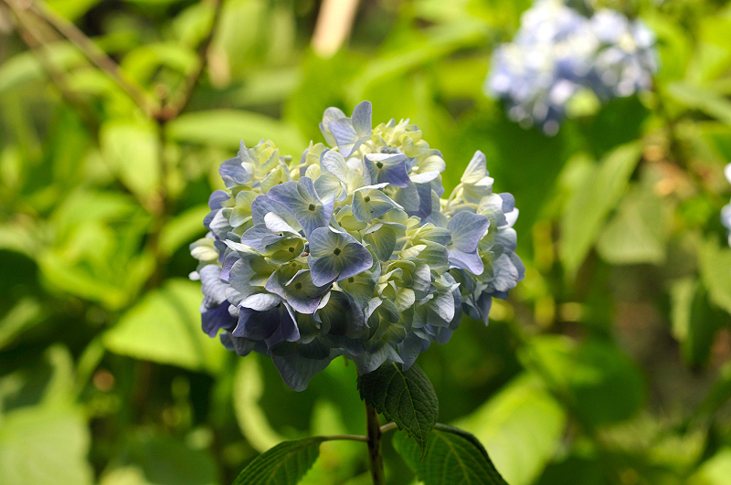 image0323