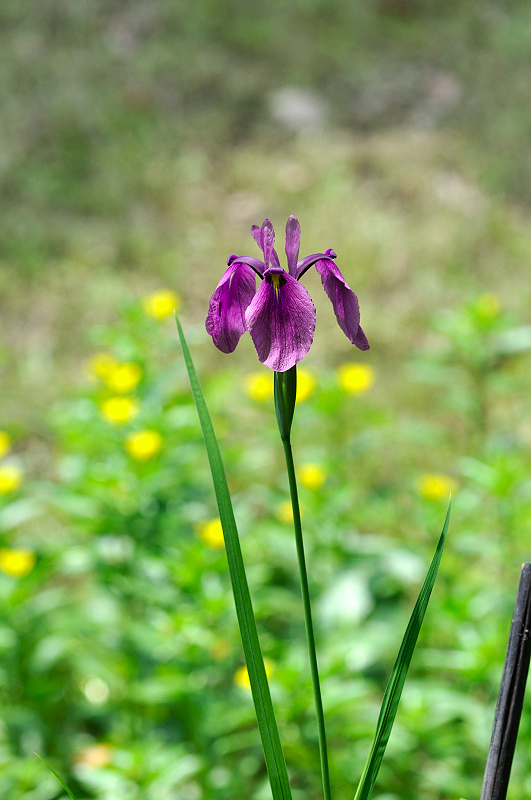 image0326