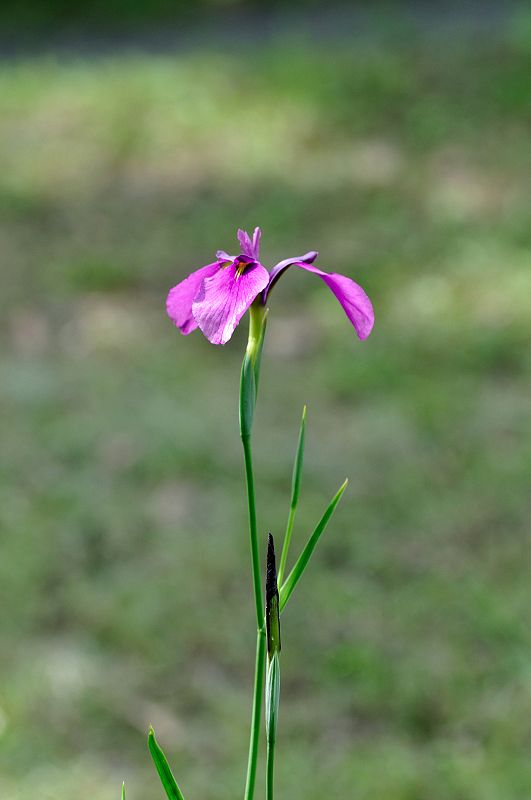 image0327