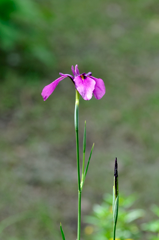 image0328