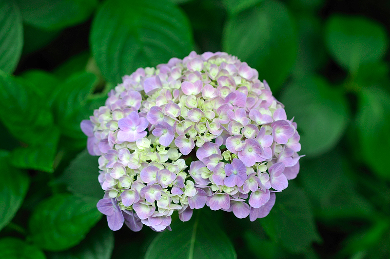 image0329
