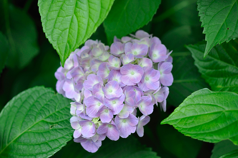 image0330