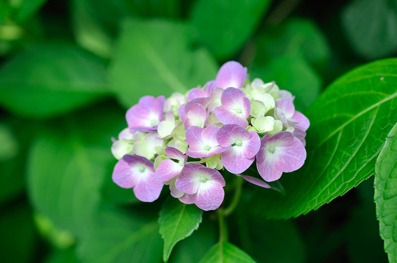 image0331