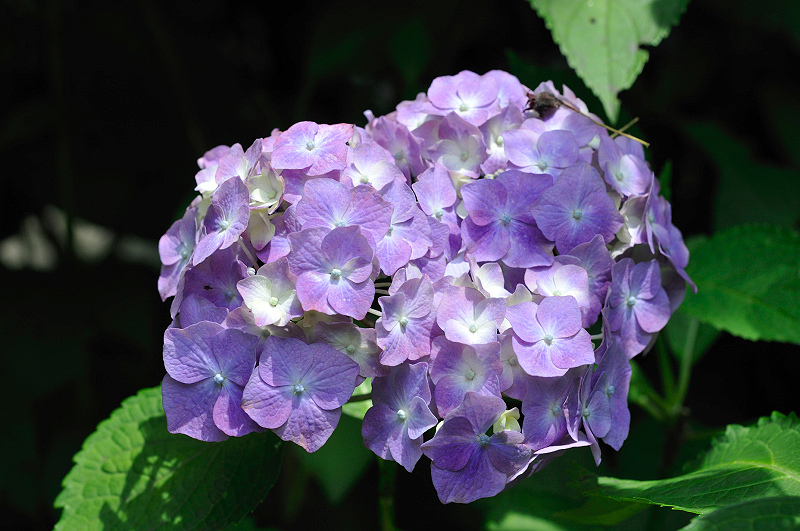 image0334