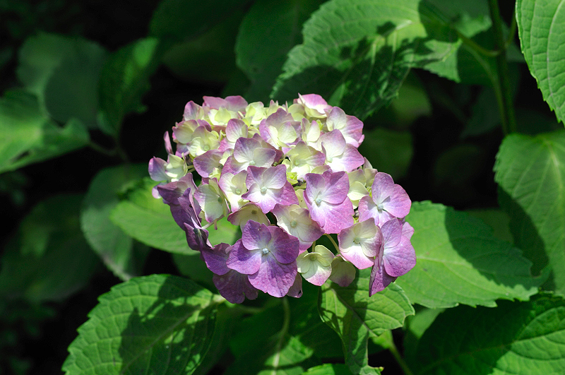 image0335