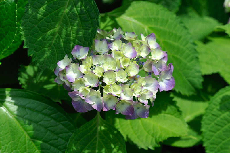 image0337