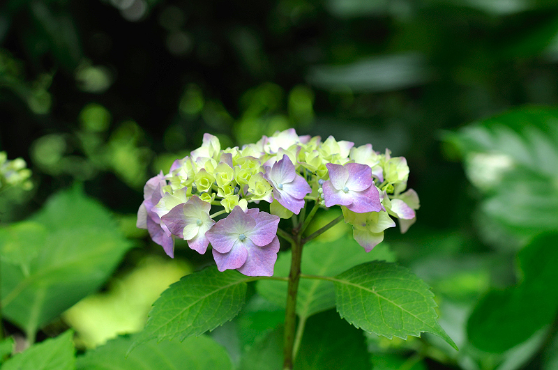 image0340