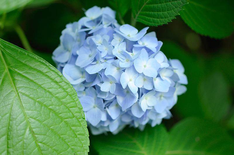 image0342