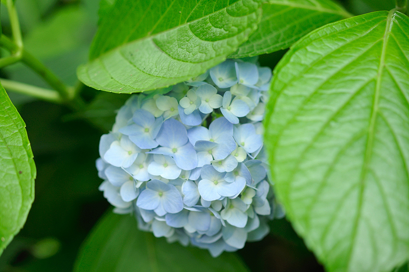 image0343