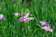 image0160