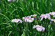 image0162