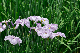 image0163