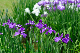 image0164