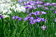 image0166