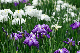 image0169