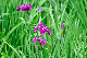image0170