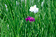 image0171