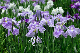 image0172