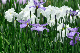 image0173