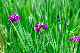 image0174