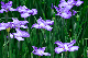image0176