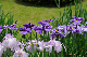 image0181