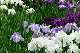 image0182