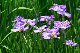 image0183