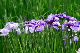 image0185