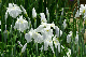 image0187