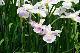 image0188
