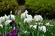 image0191